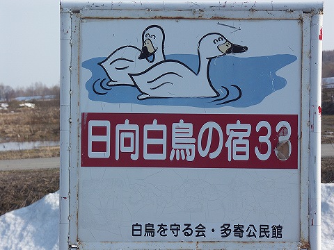 番号が33と言うことは、他にも白鳥の宿があるのだろうか…