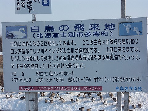 シベリアですか…なるほど…