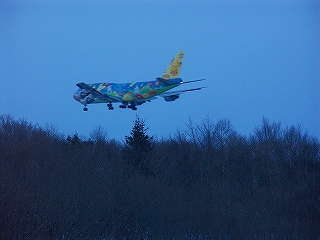 06-01-08 003.jpg